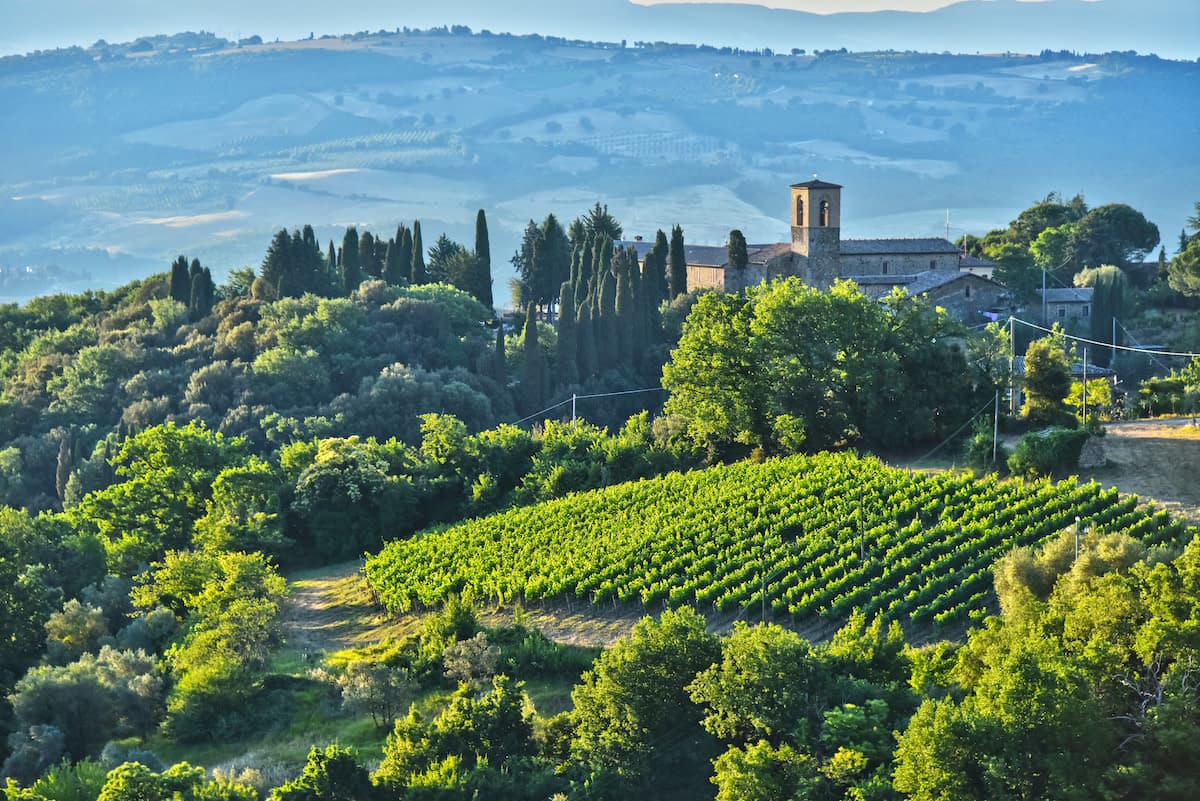 Tuscany Wine Tour Private Excursion